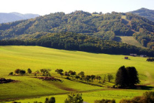 príroda