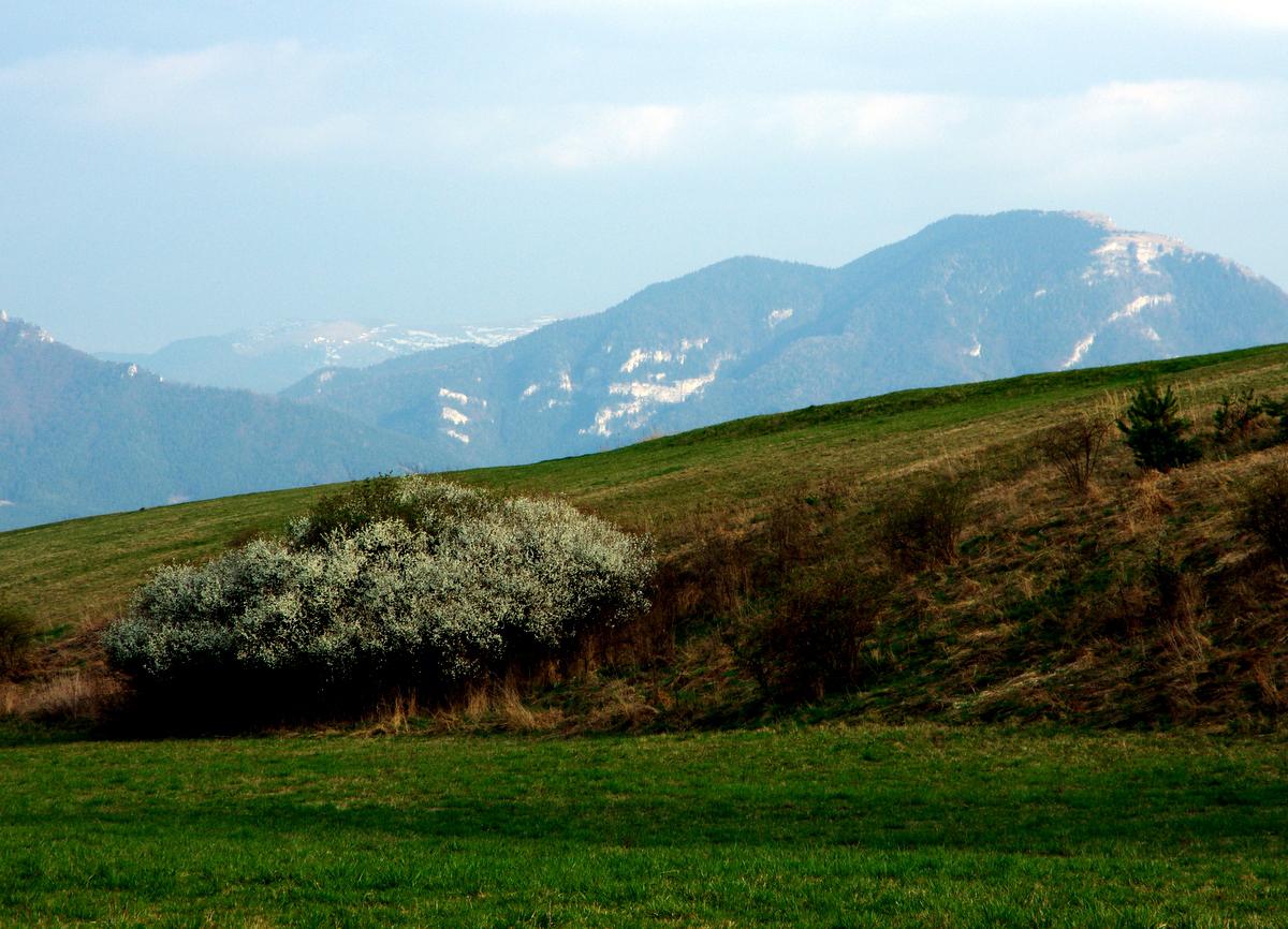 Fotogaléria Rok vo Valči (35) Rok vo Valči